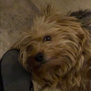 Meet your Posher, Bertha